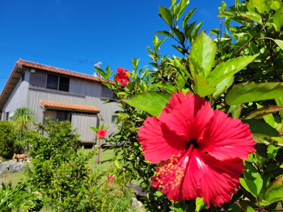 Pension Snadun Ginoza Exterior photo